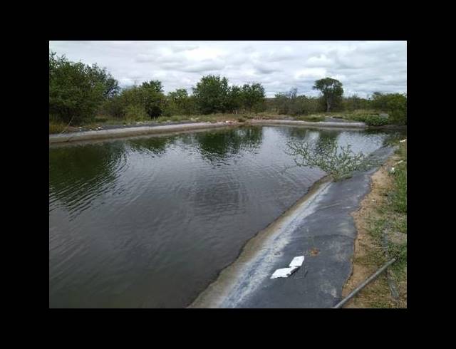 FARM FOR SALE IN MOPANE
